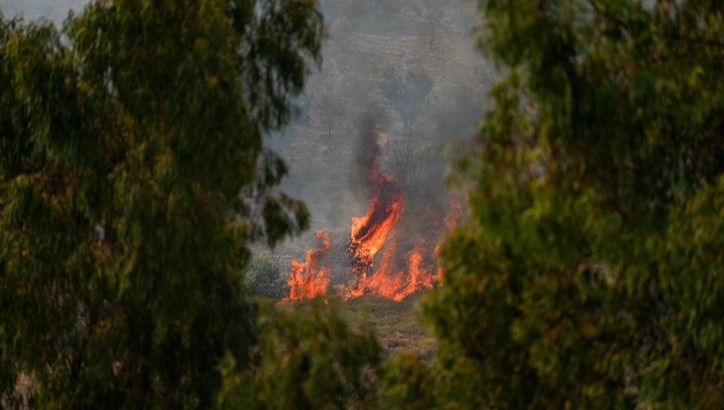 שריפה בגליל בעקבות המטח מלבנון