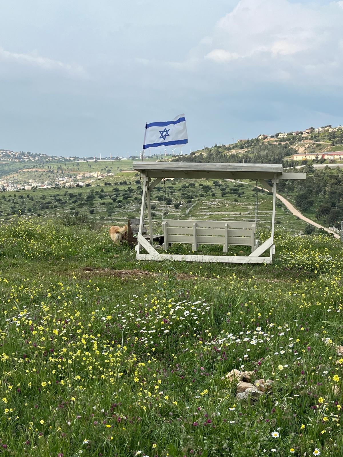 מצפה לזכרו של שאולי גרינגליק הי"ד